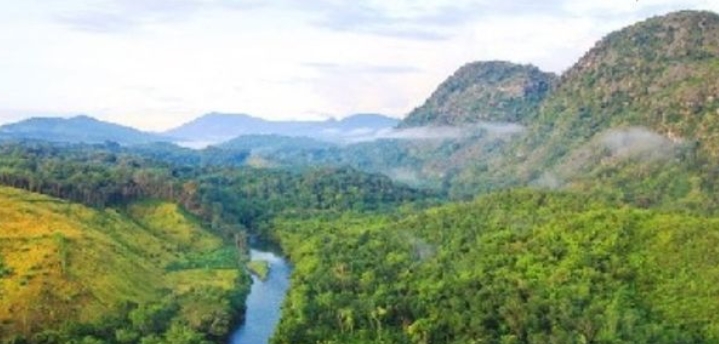Taman Nasional di Kalimantan Barat