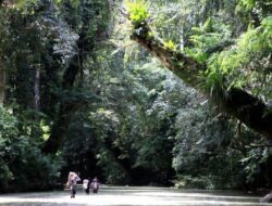 Menikmati Keindahan Taman Nasional Betung Kerihun: Permata Tersembunyi di Kalimantan Barat