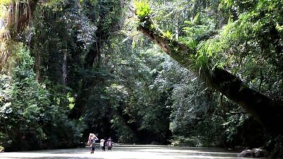 Menikmati Keindahan Taman Nasional Betung Kerihun: Permata Tersembunyi di Kalimantan Barat