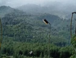 Pesona Alam Gunung Galunggung: Petualangan dan Keindahan di Jawa Barat