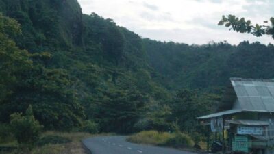 Hutan Sancang