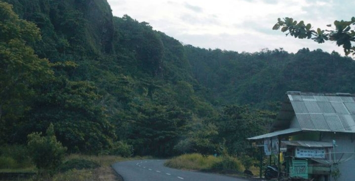 Hutan Sancang