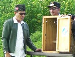 Jaga Populasi, Elang Brontok Dilepasliarkan di Taman Wisata Kamojang