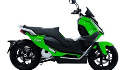 Motor Molis Alva Cervo