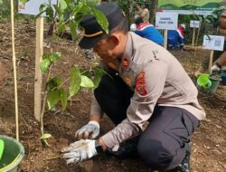 Cegah Longsor, Ribuan Bibit Pohon Ditanam di Perbukitan Kamojang