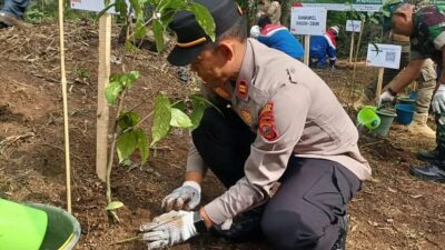 Cegah Longsor, Ribuan Bibit Pohon Ditanam di Perbukitan Kamojang