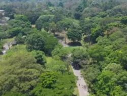 Menjelajahi Keindahan dan Petualangan di Taman Safari Prigen: Destinasi Wisata Populer di Jawa Timur