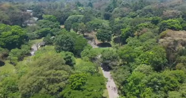 Taman Safari Prigen Jawa Timur