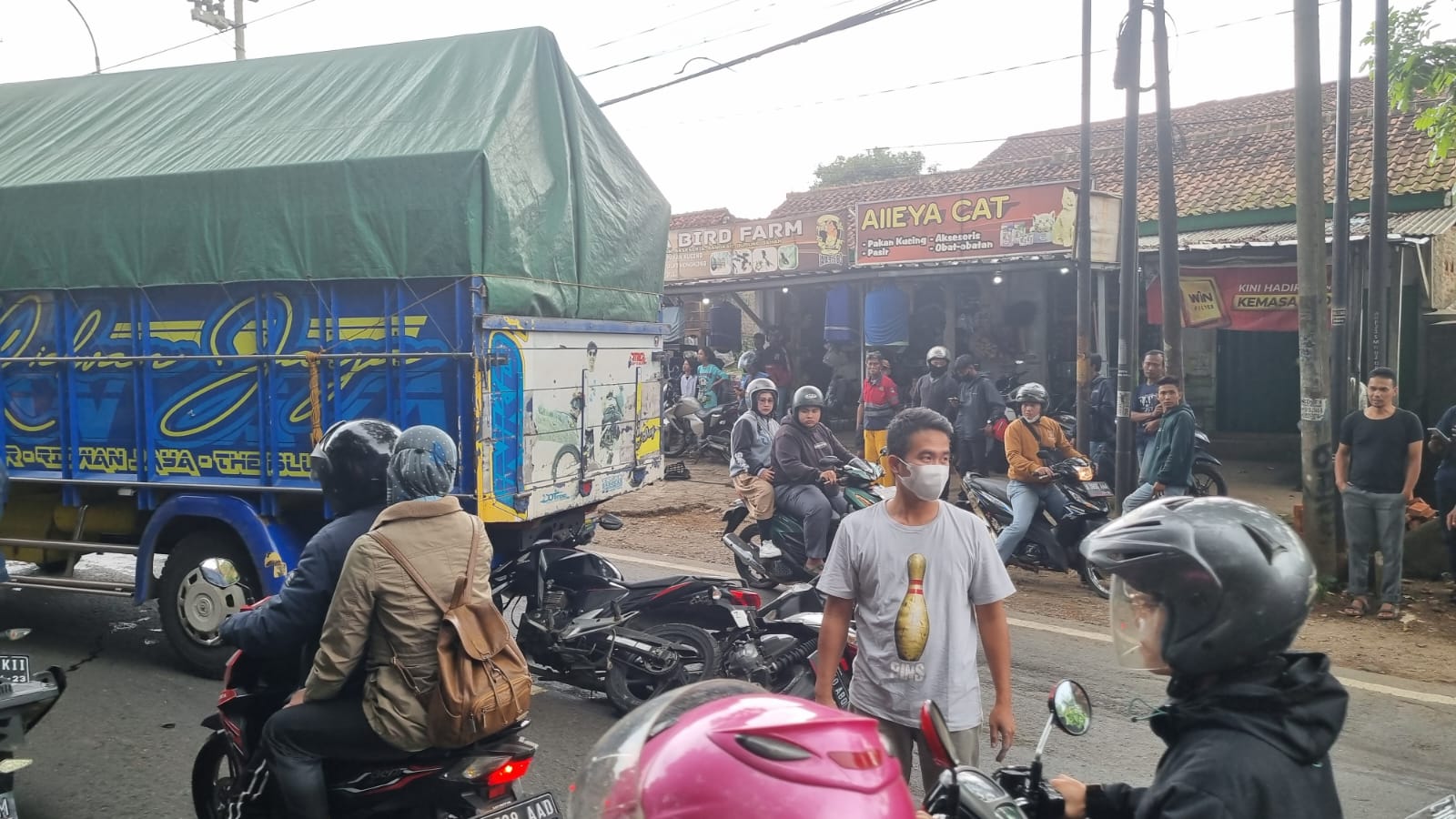 Truk Adu Banteng