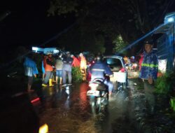 Pohon Tumbang Tutup Jalan, Arus Lalin Sumedang – Wado Tersendat