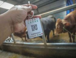 Panitia Idul Adha 2023 Diimbau Tak Pakai Kresek Saat Distribusikan Daging Qurban