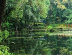 Telaga Remis Pasawahan: Keindahan Alam yang Menakjubkan di Jawa Barat