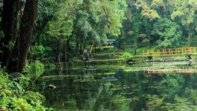 Telaga Remis Pasawahan