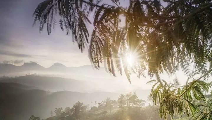 Sunrise Point Cukul