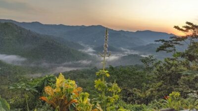 Bukit Panenjoan Jawa Barat