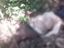 IRT Hilang di Desa Cijambu Sumedang Akhirnya Ditemukan Meninggal Dunia