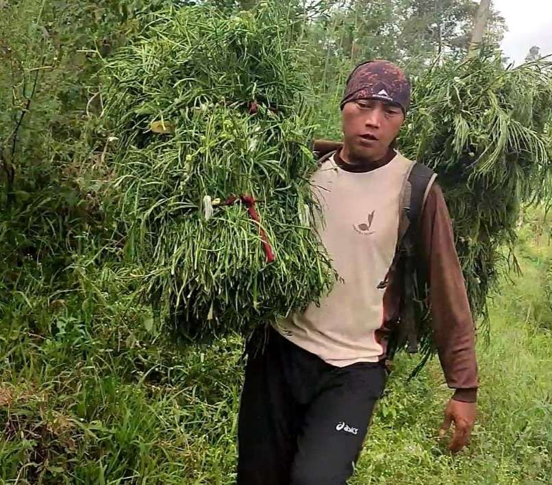 Guru Honorer di Cimanggung