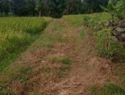 Petani Jatimekar Situraja Sumedang Harapkan Jalan Tani