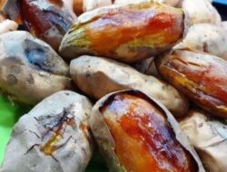 Wabup Erwan Prihatin Eksistensi Ubi Cilembu Sumedang Belum Melanglang Buana