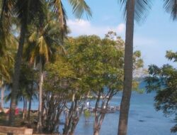Pantai Tanjung Dewa Kalimantan Selatan: Pesona Alam yang Memikat Pariwisata