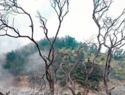 Wisata Kawah Sikidang-Dieng: Keindahan Alam Menakjubkan di Banjarnegara, Jawa Tengah