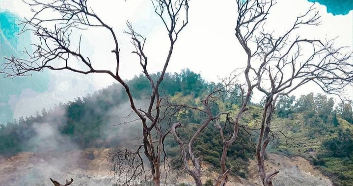 Wisata Kawah Sikidang-Dieng