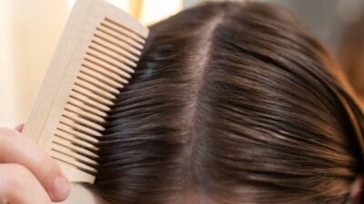 fungsi folikel rambut