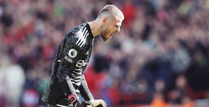 David de Gea di Manchester United