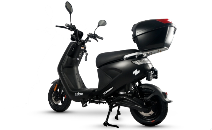 Motor Listrik Zebra ZX1