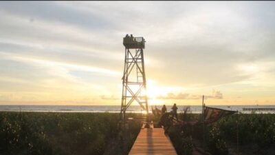 Wisata Mangrove Setapuk Besar Kalimantan Barat