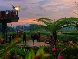 Menikmati Keindahan Alam dan Hidangan Lezat di Cafe Sawah Pujonkidul, Jawa Timur