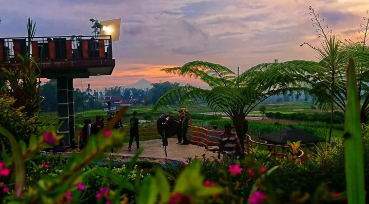Cafe Sawah Pujonkidul, Jawa Timur