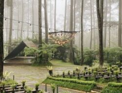 Menikmati Keindahan Alam di Orchid Forest Cikole, Destinasi Wisata di Jawa Barat