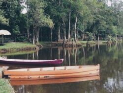 Taman Bougenvile: Keindahan Wisata Alam di Kalimantan Barat
