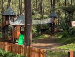 Terminal Wisata Grafika Cikole: Destinasi Seru di Jawa Barat