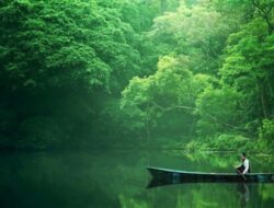 Telaga Remis Pasawahan: Keindahan Alam di Kuningan, Jawa Barat