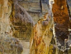 Wisata Bukit Pelalangan Arosbaya: Pesona Alam Jawa Timur yang Menawan