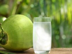 Efek Samping Mengonsumsi Air Kelapa Muda secara Berlebihan