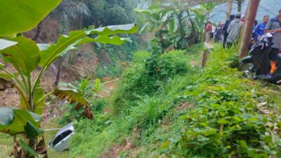 Diduga Ngantuk, Mobil Toyota Yaris Masuk Jurang di Rancakalong Sumedang