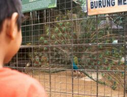 Tempat Makan Bandung Hits 2023: Hadirkan Kebun Binatang Mini