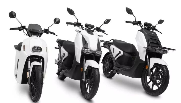 Motor listrik Rimau