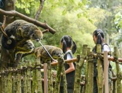 Sengketa Lahan Memanas, Begini Nasib Kebun Binatang Bandung Jika Diambil Alih