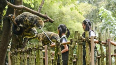 lahan Kebun Binatang Bandung