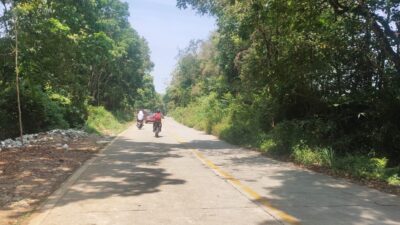 Bak Jalan di Tengah Hutan, Exit Keluar Tol Cisumdawu di Sumedang Ini Dipenuhi Semak Belukar