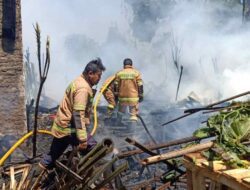 Kandang Terbakar di Tanjungsari Sumedang, Ratusan Ayam Mati Terpanggang, Pemilik Rugi Puluhan Juta