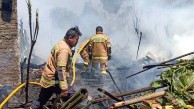 Kandang Terbakar di Tanjungsari Sumedang, Ratusan Ayam Mati Terpanggang, Pemilik Rugi Puluhan Juta