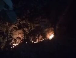 Kebakaran Hutan di Nangorak, Tim Pusdalops BPBD Sumedang Diterjunkan