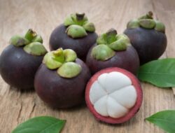 Manfaat dan Kandungan Gizi Buah Manggis: Meningkatkan Kesehatan dan Menurunkan Berat Badan