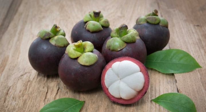 Manfaat Buah Manggis