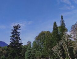 Wisata di Kota Bekasi: Taman Kota, Museum, Kebun Raya, Kuliner, dan Tempat Hiburan